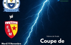 Coupe de Haute-Saône 